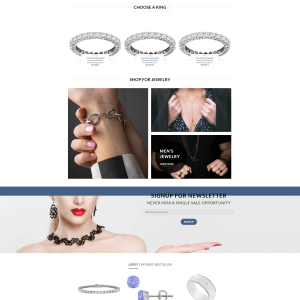 Jewelry Turnkey Dropship Website for Sale
