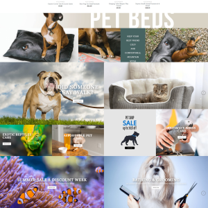 Pets Care Turnkey Dropship Website for Sale