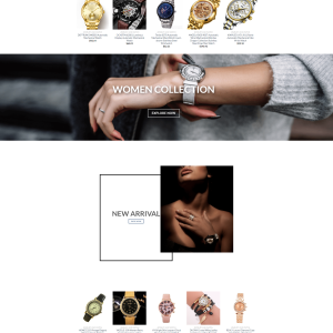 Watches Turnkey Dropship Website for Sale