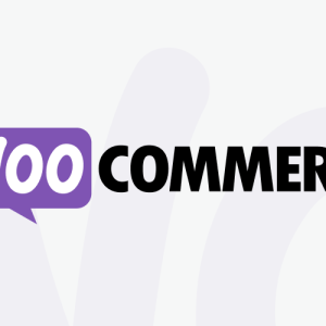 Buy Pre Built WooCommerce Dropship Store